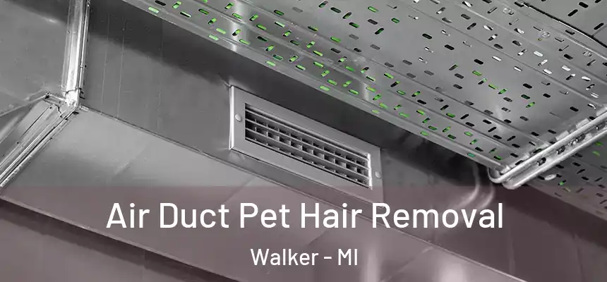  Air Duct Pet Hair Removal Walker - MI