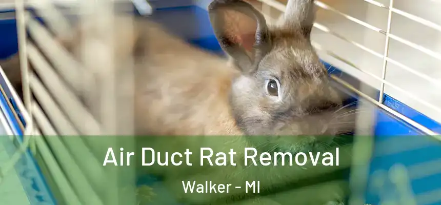Air Duct Rat Removal Walker - MI