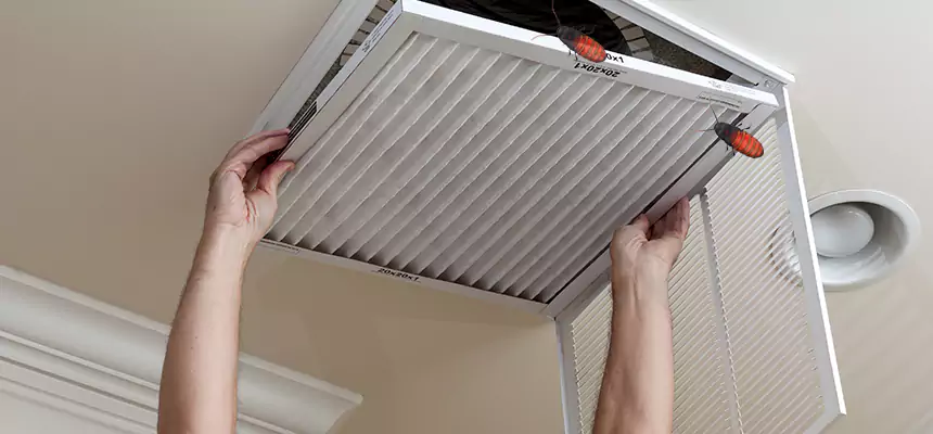 Preventive Cockroach-Proofing for Ducts in Walker