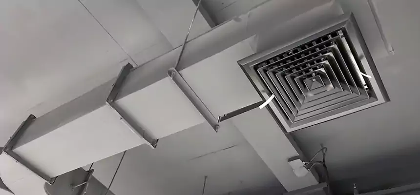 Restorative Allergy Relief Vent Cleaning – Coil, Blower & Housing Detail in Walker