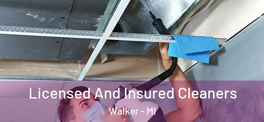  Licensed And Insured Cleaners Walker - MI