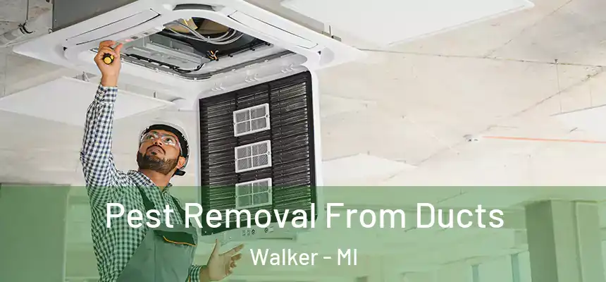 Pest Removal From Ducts Walker - MI