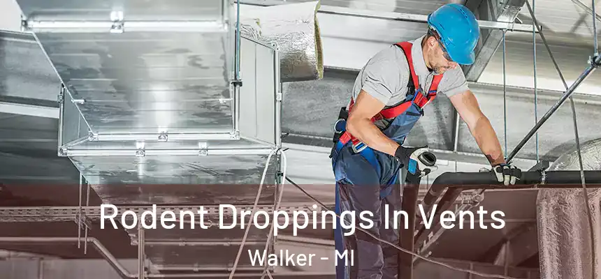  Rodent Droppings In Vents Walker - MI