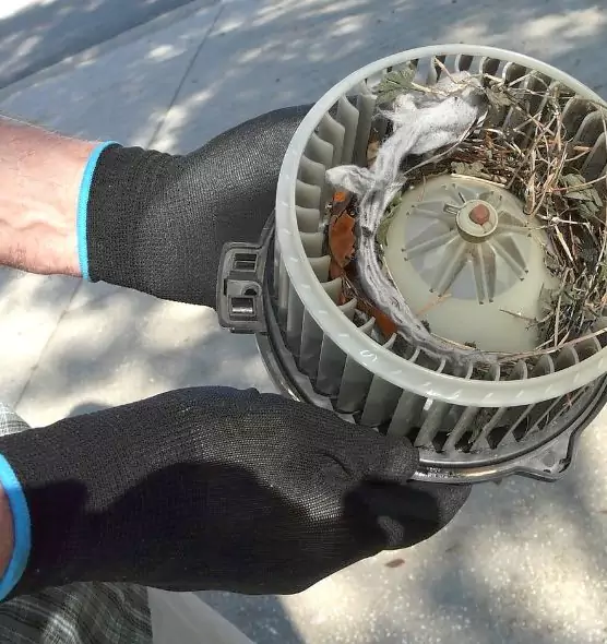 About Air Duct Mice Removal in Walker, MI