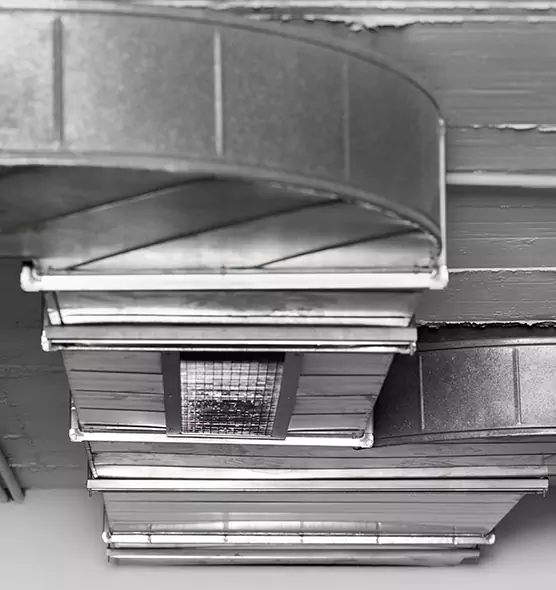 Professional Air Duct Pest Removal in Walker, MI