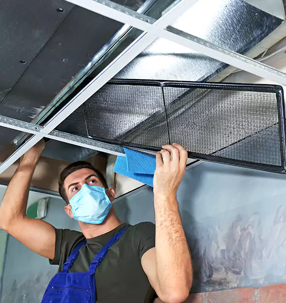 Professional Air Duct Pollen Cleaning in Walker, MI
