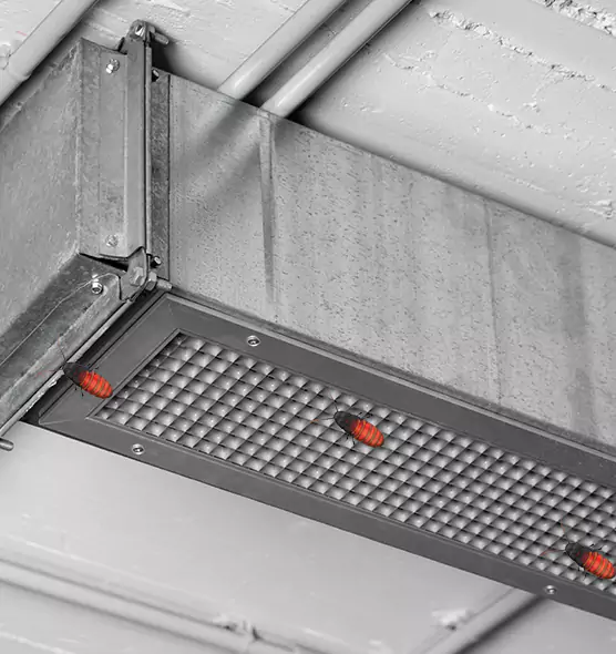 Affordable Insect Removal from Air Ducts in Walker, MI