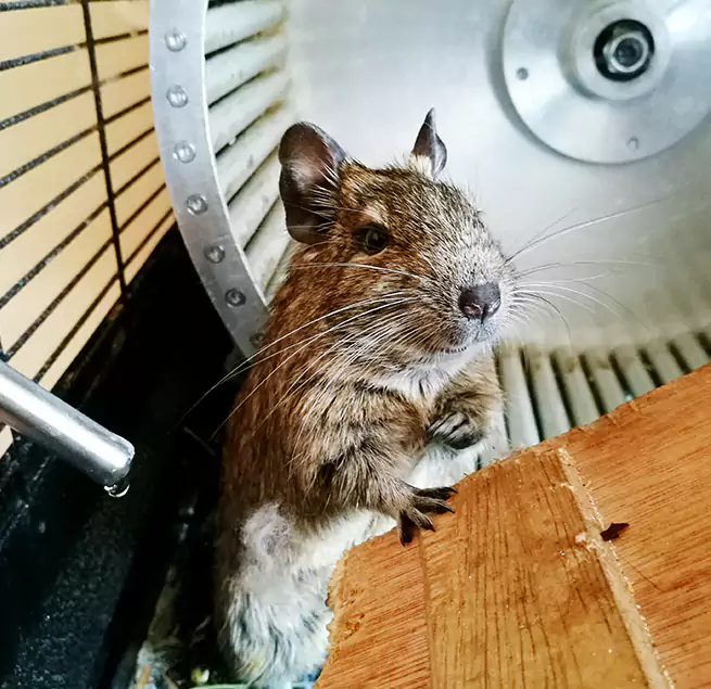 Why Homeowners & Businesses Trust Us Walker, MI